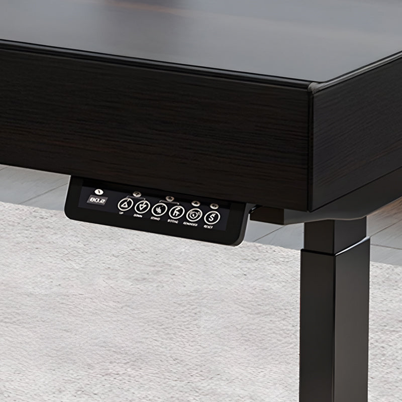 THE DESK/電動昇降式デスク 多機能