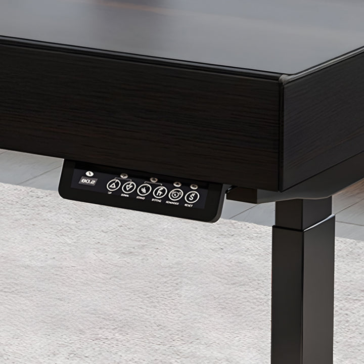 THE DESK/電動昇降式デスク 多機能