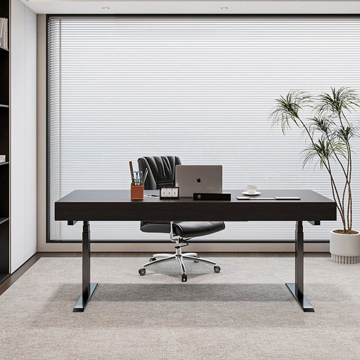 THE DESK/電動昇降式デスク 多機能